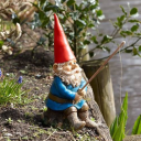 gnome-boy-man-boy avatar