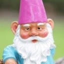 gnomecum avatar