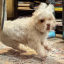 gnomesayinaaa avatar