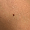 go-ahead-and-go-to-paradise avatar