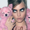 go-girl-seek-happy-nights avatar