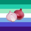 go-onion-i-need-to-collect-tools avatar