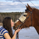 go-paint-or-go-home avatar