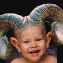 goatkids-blog avatar