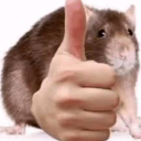 goatmans-blog avatar