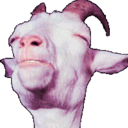 goatpresident avatar