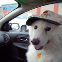 goatzandhoezz avatar