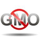 goawaygmo-blog avatar