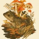 goblin-kinnie-trash avatar