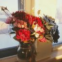 goblin-possum avatar