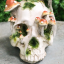 goblincorepolypore avatar