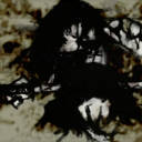 goblinpriest0102 avatar