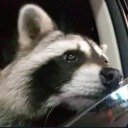 god-of-toasters avatar