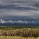 godcultmartyr avatar