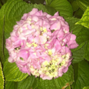 goddammit-kae avatar