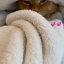 goddessamouraz avatar