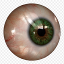 goddessbreathing avatar