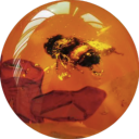 goddessinamber avatar