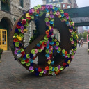 goddessofspook avatar