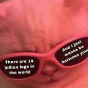 goddesss-aphroditee avatar