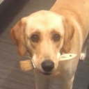 godhatesmeforgoodreason avatar