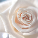 godlovesrosesblog avatar