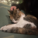 godofssunshine avatar