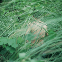 godsandwhores avatar