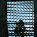 godthealrighty avatar