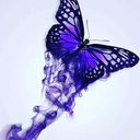 gogglequeen17 avatar