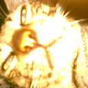 gogopoweran6er avatar