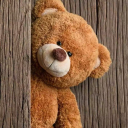 goguntekyildizi avatar