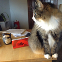 goingtoground avatar