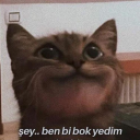 gokcekvederson avatar