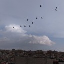 gokyuzumsimsiyahh avatar