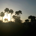 gokyuzundekiyildizimm avatar