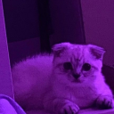 gokyuzunungozyasi avatar