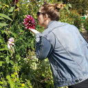 gold-dust-girl avatar