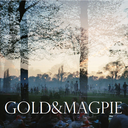 goldandmagpie avatar