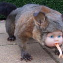 goldbond-blog avatar