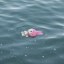 golden-eye-ramblings avatar