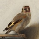 golden-finch avatar