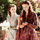 golden-lions-and-roses avatar