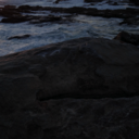 golden-oxymoron avatar