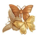 goldenbtrfly avatar