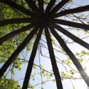 goldencheerio avatar