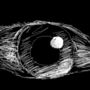 goldendelicious avatar