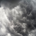 goldenglowdays avatar