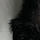 goldengrounds avatar