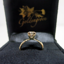 goldengrovejewelry avatar